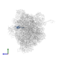 Large ribosomal subunit protein bL21 in PDB entry 5ib7, assembly 1, side view.