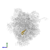 Large ribosomal subunit protein uL22 in PDB entry 5ib7, assembly 1, side view.