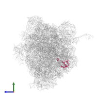 Large ribosomal subunit protein uL23 in PDB entry 5ib7, assembly 1, side view.