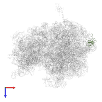 Large ribosomal subunit protein uL24 in PDB entry 5ib7, assembly 1, top view.