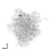 Large ribosomal subunit protein bL27 in PDB entry 5ib7, assembly 1, side view.