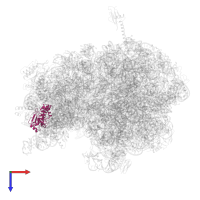 Small ribosomal subunit protein uS4 in PDB entry 5ib7, assembly 1, top view.