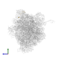 Large ribosomal subunit protein bL31 in PDB entry 5ib7, assembly 1, side view.