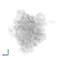 Large ribosomal subunit protein bL35 in PDB entry 5ib8, assembly 1, side view.