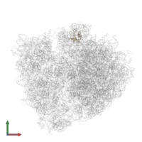 Large ribosomal subunit protein uL1 in PDB entry 5ibb, assembly 1, front view.