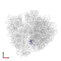 Large ribosomal subunit protein uL14 in PDB entry 5ibb, assembly 1, front view.