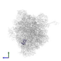 Large ribosomal subunit protein uL14 in PDB entry 5ibb, assembly 1, side view.