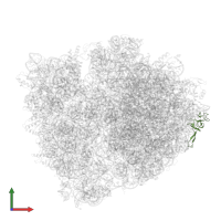 Large ribosomal subunit protein uL24 in PDB entry 5ibb, assembly 1, front view.