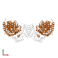 Histone deacetylase 1 in PDB entry 5icn, assembly 1, front view.