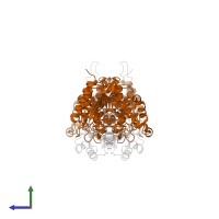 Histone deacetylase 1 in PDB entry 5icn, assembly 1, side view.