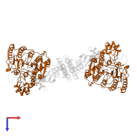 Histone deacetylase 1 in PDB entry 5icn, assembly 1, top view.