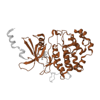 The deposited structure of PDB entry 5icp contains 1 copy of Pfam domain PF00069 (Protein kinase domain) in Cyclin-dependent kinase 8. Showing 1 copy in chain A.