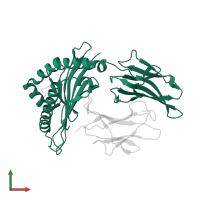 HLA class I histocompatibility antigen, B alpha chain in PDB entry 5iek, assembly 1, front view.