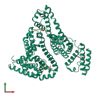 PDB entry 5ifo coloured by chain, front view.