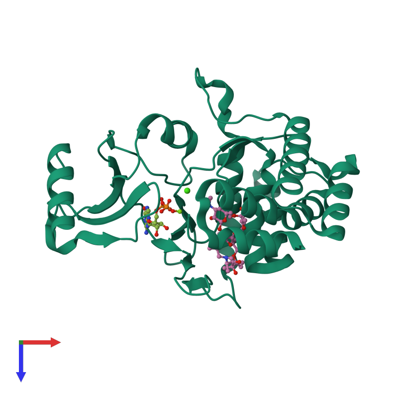 <div class='caption-body'><ul class ='image_legend_ul'> Monomeric assembly 1 of PDB entry 5igv coloured by chemically distinct molecules and viewed from the top. This assembly contains:<li class ='image_legend_li'>One copy of Macrolide 2'-phosphotransferase II</li><li class ='image_legend_li'>One copy of MAGNESIUM ION</li><li class ='image_legend_li'>One copy of CALCIUM ION</li><li class ='image_legend_li'>One copy of GUANOSINE-5'-DIPHOSPHATE</li><li class ='image_legend_li'>One copy of AZITHROMYCIN</li></ul></div>