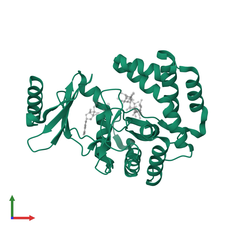 <div class='caption-body'>PDB entry 5igv contains 1 copy of Macrolide 2'-phosphotransferase II in assembly 1. This protein is highlighted and viewed from the front.</div>