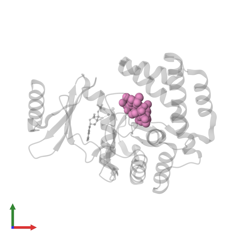 <div class='caption-body'>PDB entry 5igv contains 1 copy of AZITHROMYCIN in assembly 1. This small molecule is highlighted and viewed from the front.</div>