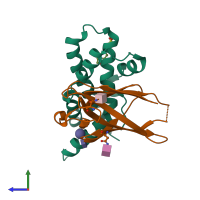 PDB entry 5iib coloured by chain, side view.