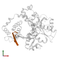 DNA (5'-D(P*GP*CP*CP*G)-3') in PDB entry 5iij, assembly 1, front view.