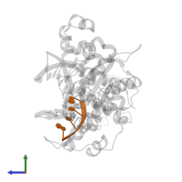 DNA (5'-D(P*GP*CP*CP*G)-3') in PDB entry 5iij, assembly 1, side view.