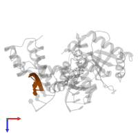DNA (5'-D(P*GP*CP*CP*G)-3') in PDB entry 5iij, assembly 1, top view.