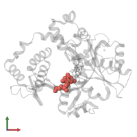Modified residue 8OG in PDB entry 5iij, assembly 1, front view.