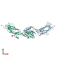 PDB entry 5iiy coloured by chain, front view.