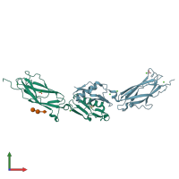 PDB entry 5ij1 coloured by chain, front view.