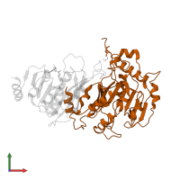 N6-adenosine-methyltransferase non-catalytic subunit in PDB entry 5il2, assembly 1, front view.