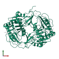 Galactose-1-phosphate uridylyltransferase in PDB entry 5in3, assembly 1, front view.