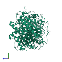 Galactose-1-phosphate uridylyltransferase in PDB entry 5in3, assembly 1, side view.