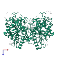 Galactose-1-phosphate uridylyltransferase in PDB entry 5in3, assembly 1, top view.