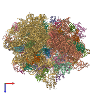 PDB entry 5iqr coloured by chain, top view.