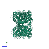 Histone-arginine methyltransferase CARM1 in PDB entry 5ish, assembly 1, side view.