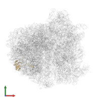 Ribosomal protein L18e/L15P domain-containing protein in PDB entry 5it7, assembly 1, front view.