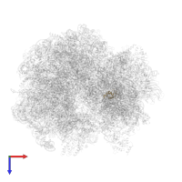 40S ribosomal protein S25 in PDB entry 5it7, assembly 1, top view.