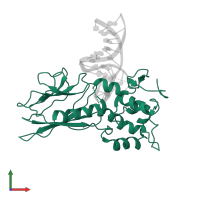 Endonuclease 8-like 1 in PDB entry 5itr, assembly 3, front view.