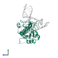 Endonuclease 8-like 1 in PDB entry 5itr, assembly 3, side view.