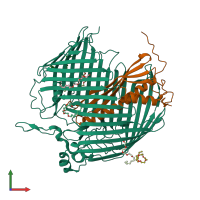 PDB entry 5iva coloured by chain, front view.