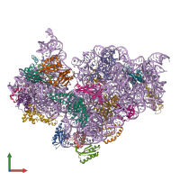 PDB entry 5iwa coloured by chain, front view.