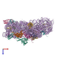 PDB entry 5iwa coloured by chain, top view.