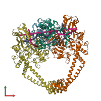 PDB entry 5iwm coloured by chain, front view.