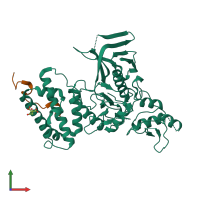 Hetero dimeric assembly 1 of PDB entry 5ixd coloured by chemically distinct molecules, front view.