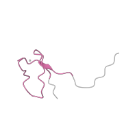 The deposited structure of PDB entry 5iy6 contains 1 copy of Pfam domain PF03604 (DNA directed RNA polymerase, 7 kDa subunit) in DNA-directed RNA polymerases I, II, and III subunit RPABC4. Showing 1 copy in chain L.