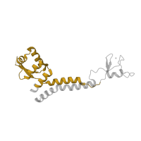 The deposited structure of PDB entry 5iy6 contains 1 copy of Pfam domain PF02002 (TFIIE alpha subunit) in General transcription factor IIE subunit 1. Showing 1 copy in chain Q.