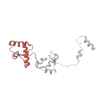 The deposited structure of PDB entry 5iy6 contains 1 copy of Pfam domain PF02186 (TFIIE beta subunit core domain) in Transcription initiation factor IIE subunit beta. Showing 1 copy in chain R.