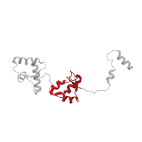 The deposited structure of PDB entry 5iy6 contains 1 copy of Pfam domain PF18121 (TFA2 Winged helix domain 2) in Transcription initiation factor IIE subunit beta. Showing 1 copy in chain R.