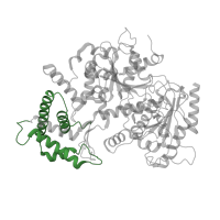 The deposited structure of PDB entry 5iy6 contains 1 copy of Pfam domain PF06777 (Helical and beta-bridge domain) in General transcription and DNA repair factor IIH helicase subunit XPD. Showing 1 copy in chain W.