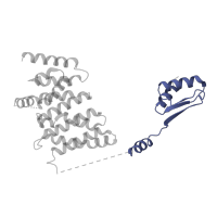 The deposited structure of PDB entry 5iy6 contains 1 copy of Pfam domain PF18307 (Transcription factor Tfb2 (p52) C-terminal domain) in General transcription factor IIH subunit 4. Showing 1 copy in chain Z [auth 2].