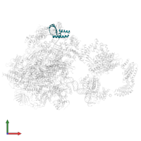 Transcription initiation factor IIA subunit 2 in PDB entry 5iy6, assembly 1, front view.